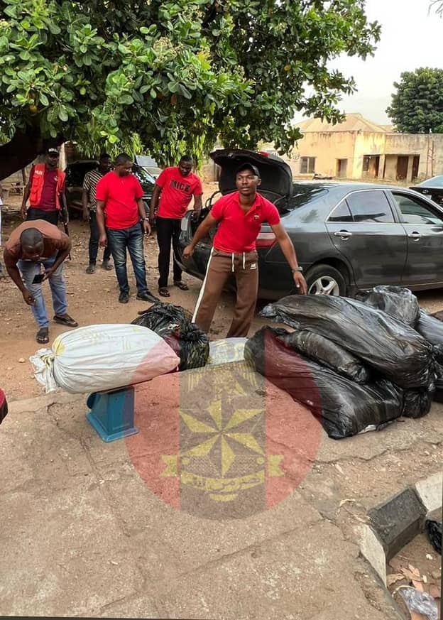 Army Intercepts Cannabis Shipment in Kogi, Hands Suspect to NDLEA