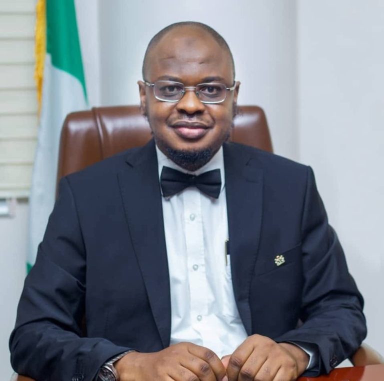 Prof. Isa Ali Ibrahim Pantami: National Profile, Local Disconnect