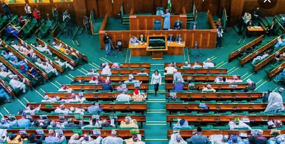 Reps Summon Security Chiefs, Finance Minister Over Escalating Insecurity