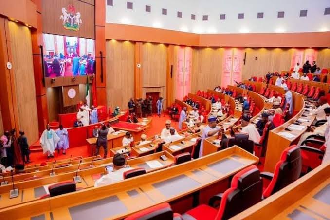 Senate Passes State Police Bill, Advances Security Reforms