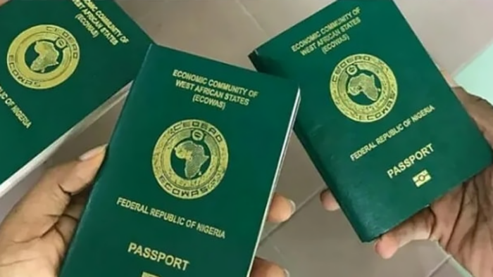 UK-Based Lawyer Begins Process to Renounce Nigerian Citizenship