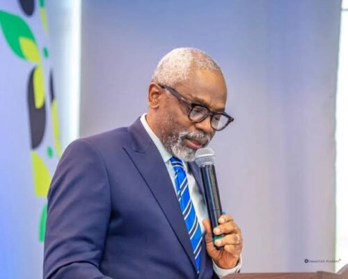State Police Will Come With Legal Restraints To Prevent Abuse – FG